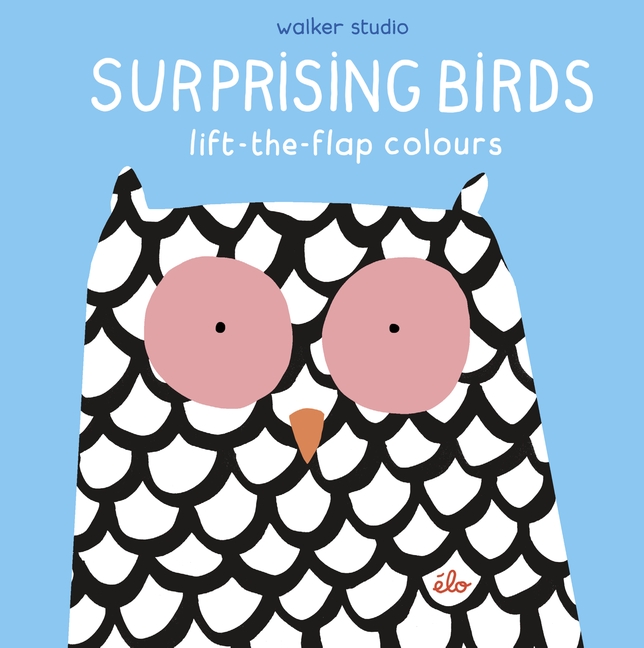 Surprising Birds: Lift-the-Flap Colours